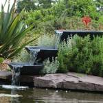Bassin jardin