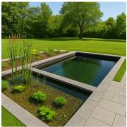 Piscine naturelle