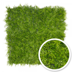 Mur vgtal Fougre : 1m x 1m 