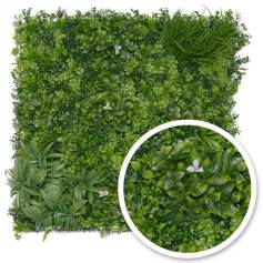Mur vgtal Liseron : 1m x1m