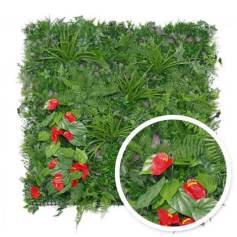 Mur vgtal Tropical : 1m x 1m