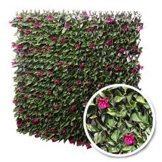 Treillis extensible Bougainvilliers