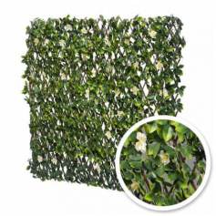 Treillis extensible Jasmin Fleuri 
