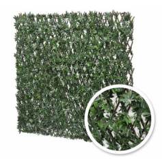 Treillis extensible Vigne Vierge 