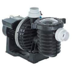 Pompe piscine STA RITE 5P2R