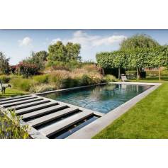Kit de filtracin TIPO III: Transparente para piscina natural