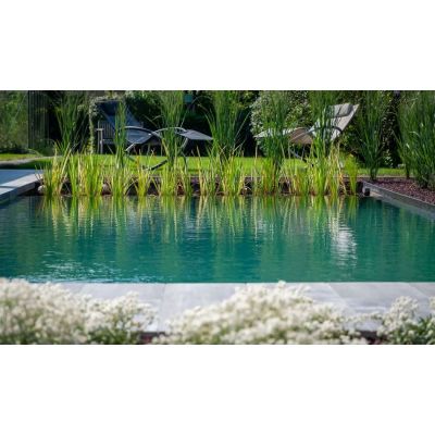 Groupe filtration piscine : TYPE IV : Limpide