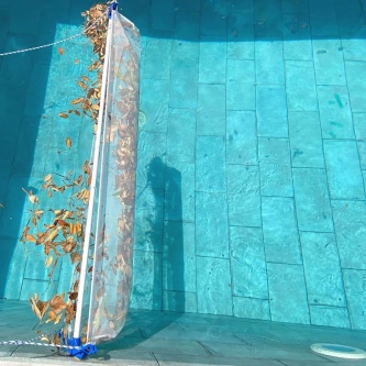 PLATYPOOL epuisette piscine photo 5