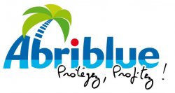abriblue logo